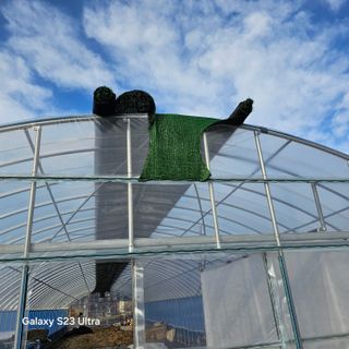 박용열조물주님 님의 자유주제 · 자유게시판 작성글 사진