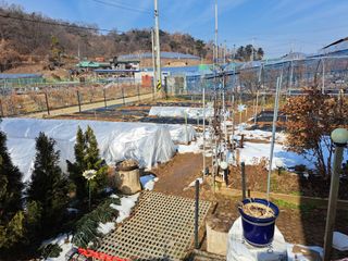 온시디움님의 자유주제 · 자유게시판 작성글 사진