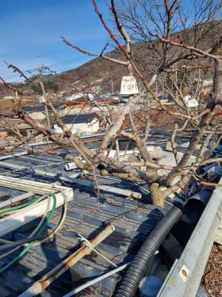 김용대님의 자유주제 · 자유게시판 작성글 사진