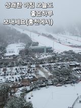 팜모닝 설날 계획 공유해요·참여글 게시글 이미지