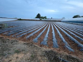 박수열님의 자유주제 · 자유게시판 작성글 사진