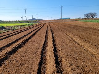 박수열님의 자유주제 · 자유게시판 작성글 사진