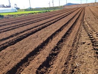 박수열님의 자유주제 · 자유게시판 작성글 사진