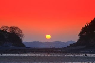 최영환님의 설날 계획 공유해요·참여글 작성글 사진