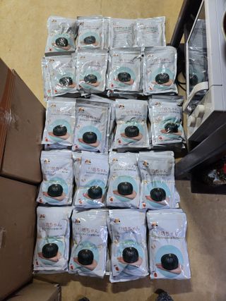 박수현님의 자유주제 · 자유게시판 작성글 사진