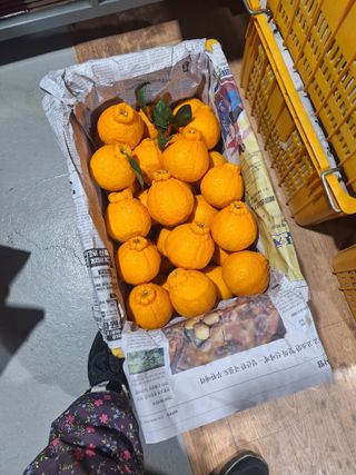 옥이네 농장님의 작성글 사진