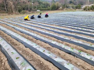박수열님의 자유주제 · 자유게시판 작성글 사진