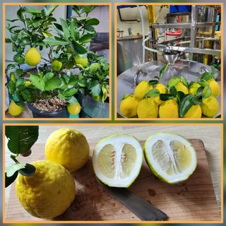 맹태임님의 자유주제 · 자유게시판 작성글 사진