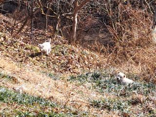 자연인님의 자유주제 · 자유게시판 작성글 사진