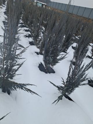 전희분님의 자유주제 · 자유게시판 작성글 사진