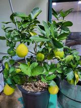 팜모닝 자유주제·자유게시판 게시글 이미지