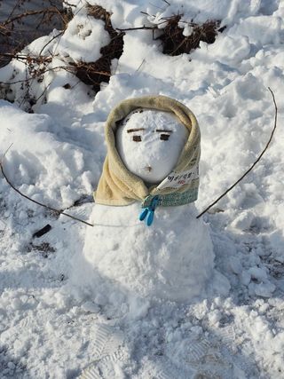 전희분님의 자유주제 · 자유게시판 작성글 사진