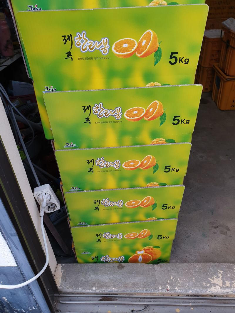 성소영 님의 장터 판매 상품 [노지한라봉. 천혜향 ] 첨부 사진