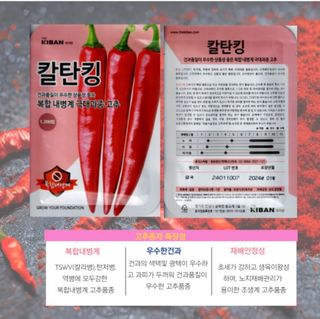 대산농사대장님의 고추 · 품종•종자 작성글 사진