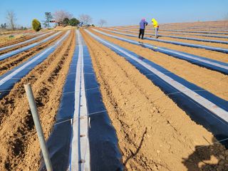 박수열님의 자유주제 · 자유게시판 작성글 사진