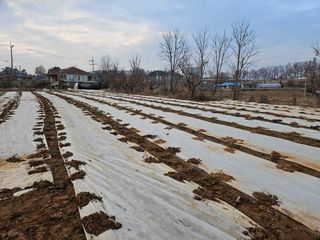 김황기님의 자유주제 · 자유게시판 작성글 사진