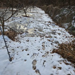 양배추21889님의 농업인 건보료 지원확대, 찬성vs반대 · 참여글 작성글 사진