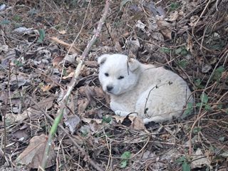 자연인님의 자유주제 · 자유게시판 작성글 사진