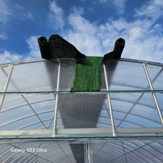 박용열조물주님 님의 자유주제 · 자유게시판 작성글 사진