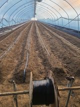 팜모닝 자유주제·자유게시판 게시글 이미지