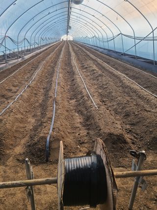 머위농장님의 자유주제 · 자유게시판 작성글 사진