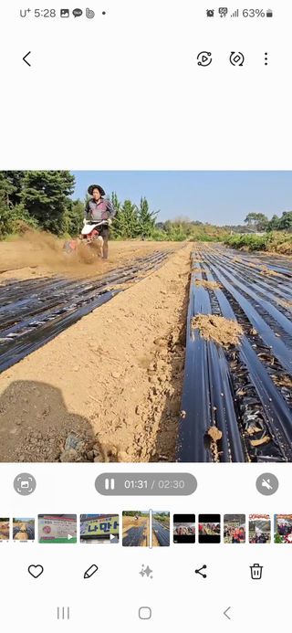 김황기님의 자유주제 · 자유게시판 작성글 사진