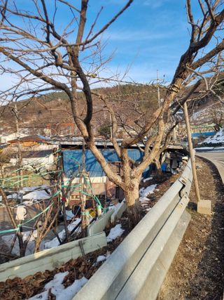 김용대님의 자유주제 · 자유게시판 작성글 사진