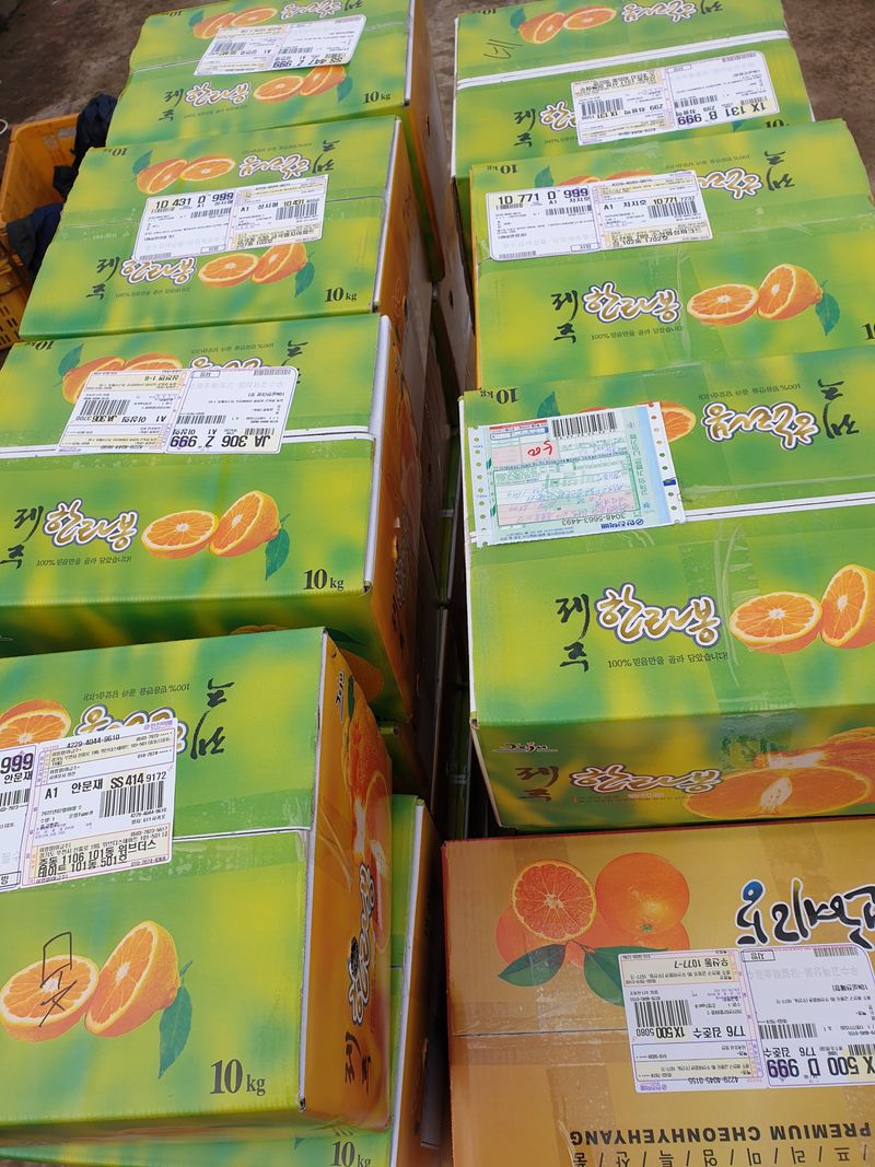 성소영 님의 장터 판매 상품 [노지한라봉. 천혜향 ] 첨부 사진