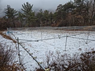 민석규님의 자유주제 · 자유게시판 작성글 사진