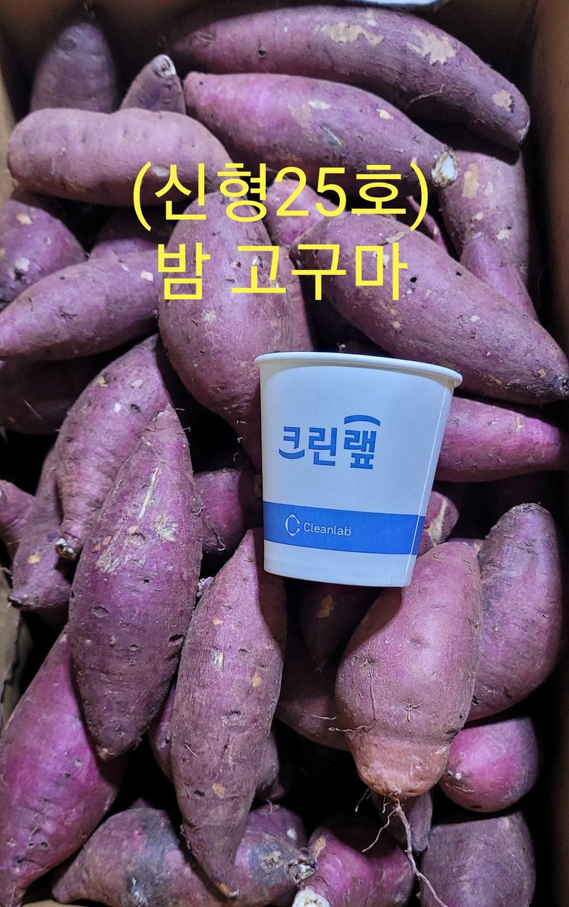 사랑꽃농장님의 장터 판매 상품 [고급진) 못난이 하루까 고구마10kg] 첨부 사진