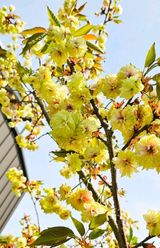 팜모닝 자유주제·자유게시판 게시글 이미지