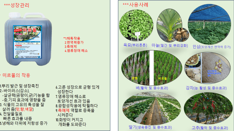 김둘점님의 장터 판매 상품 [규산황 골드10L] 첨부 사진