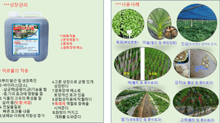 김둘점님의 작성글 사진