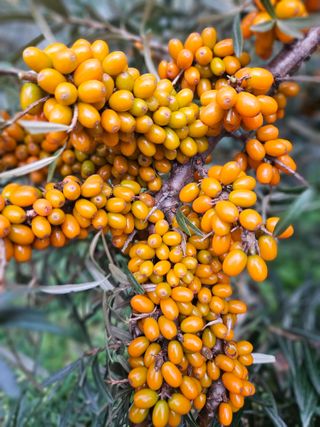 김시헌 님의 자유주제 · 자유게시판 작성글 사진