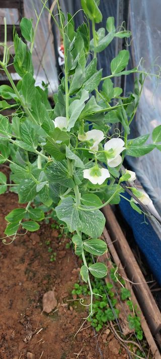 김재천님의 자유주제 · 자유게시판 작성글 사진