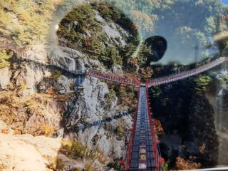 고추대~~~박님의 작성글 사진