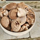 팜모닝 · 게시글 이미지