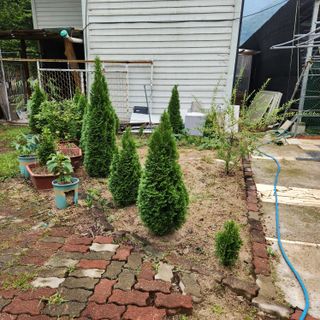 파란농원님의 작성글 사진