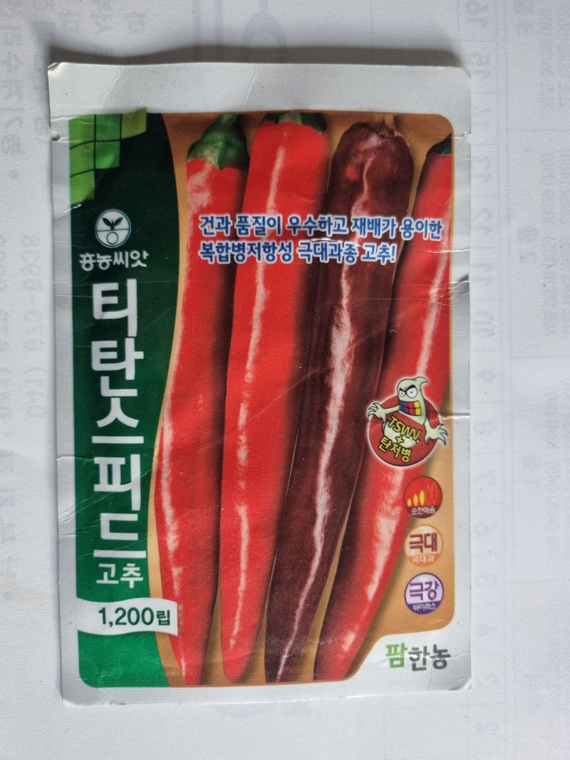 공석래님의 장터 판매 상품 [고추종자 할인판매 ] 첨부 사진