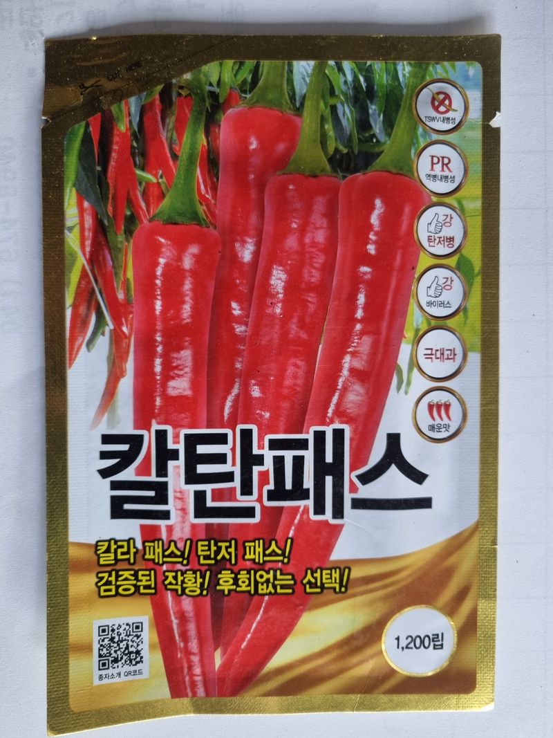 장터 상품 [고추종자 할인판매 ] 썸네일