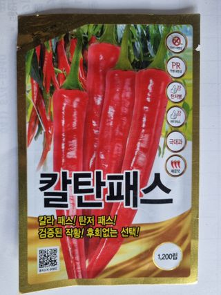 공석래님의 작성글 사진