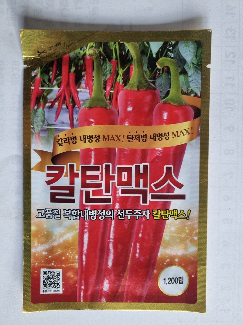 공석래님의 장터 판매 상품 [고추종자 할인판매 ] 첨부 사진