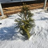 팜모닝 · 게시글 이미지