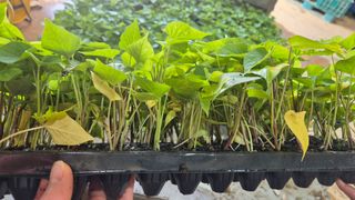 김동수님의 자유주제 · 자유게시판 작성글 사진