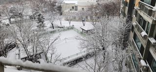 28 268 HQ님의 설날 계획 공유해요 · 참여글 작성글 사진