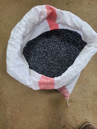 해풍님의 작성글 사진