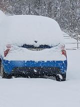 팜모닝 설날 계획 공유해요·참여글 게시글 이미지