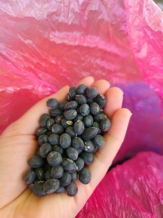 해풍님의 작성글 사진