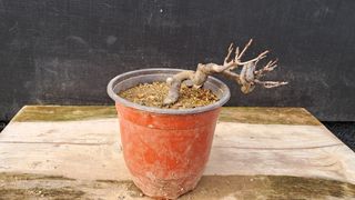 이정운님의 자유주제 · 자유게시판 작성글 사진