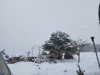 이영미님의 설날 계획 공유해요 · 참여글 작성글 사진